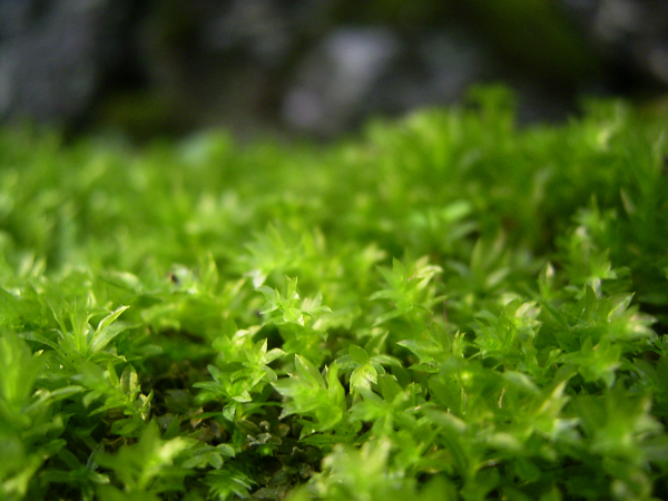 image0000
