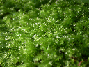 image0003