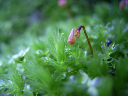 image0007