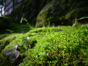 image0011