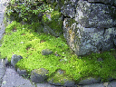 image0017