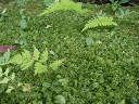 image0034