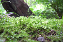 image0042