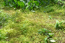 image0043