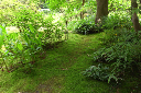 image0044