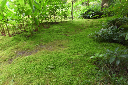 image0045