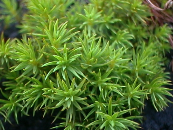 image0034