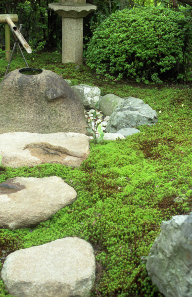 image0013