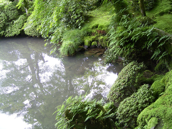 image0033