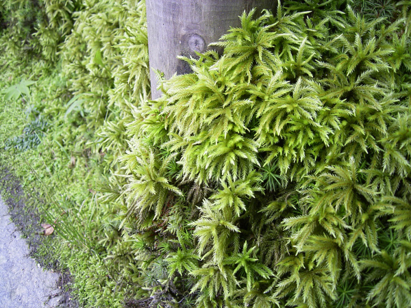 image0035