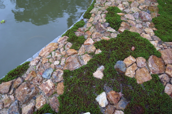 image0150