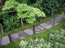image0046