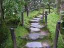 image0049