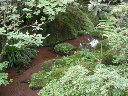 image0050