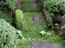 image0052