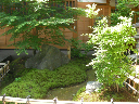 image0066