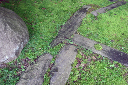 image0131