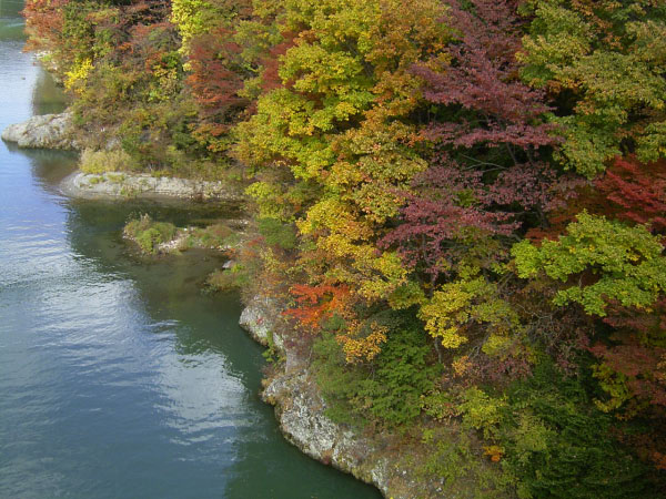 image0003