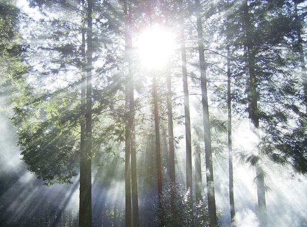 image0005