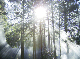 image0005