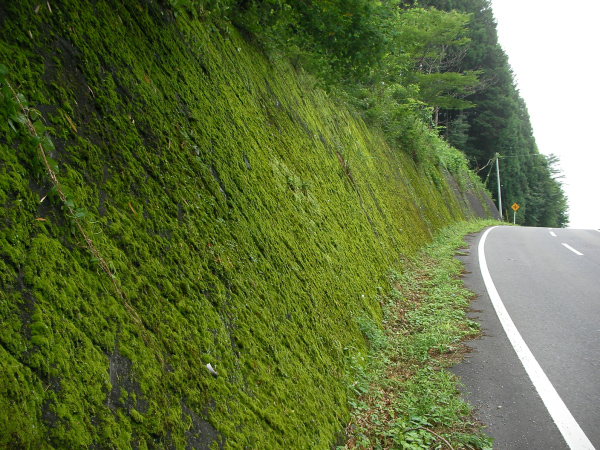 image0031