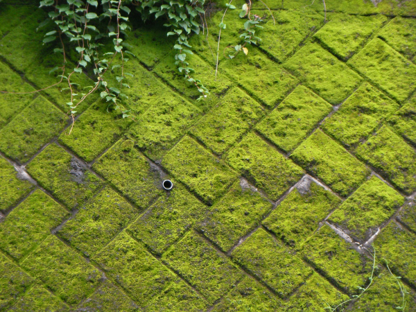 image0032