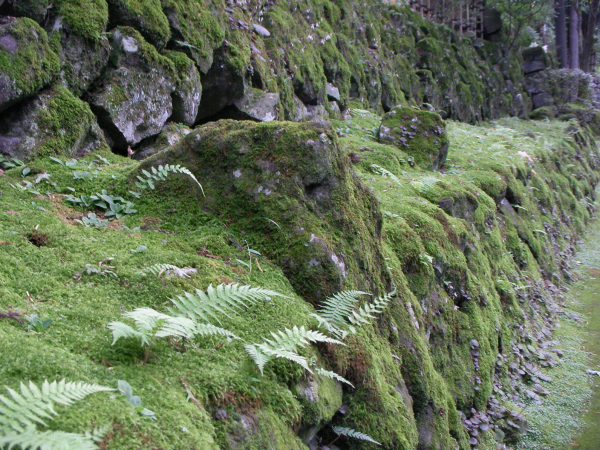 image0035