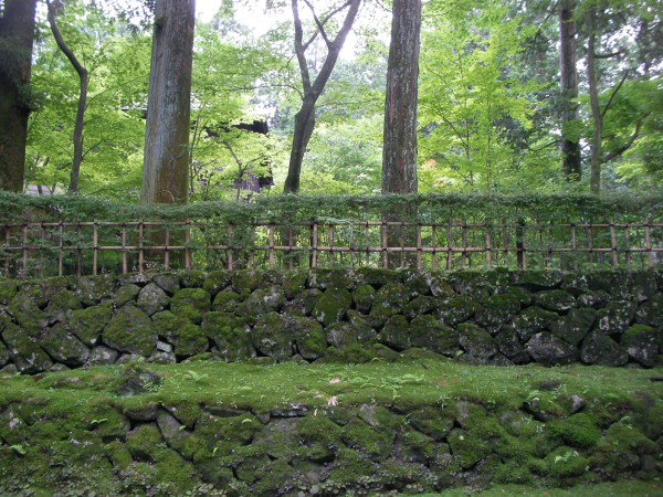 image0036