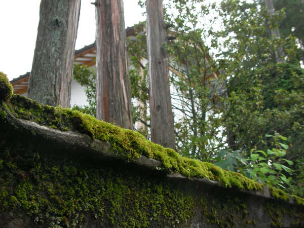 image0037