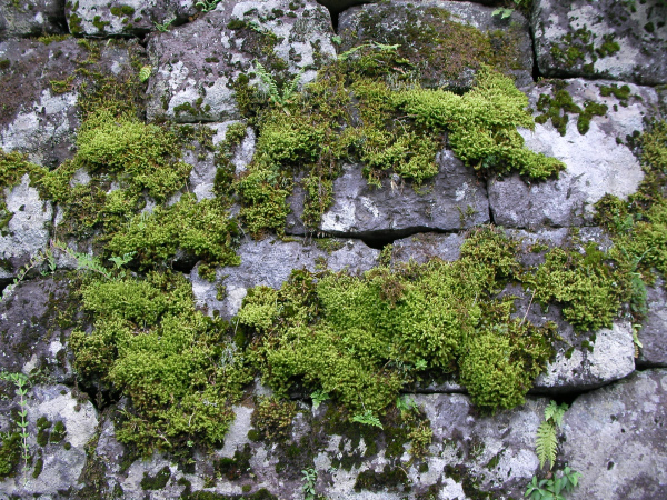 image0040