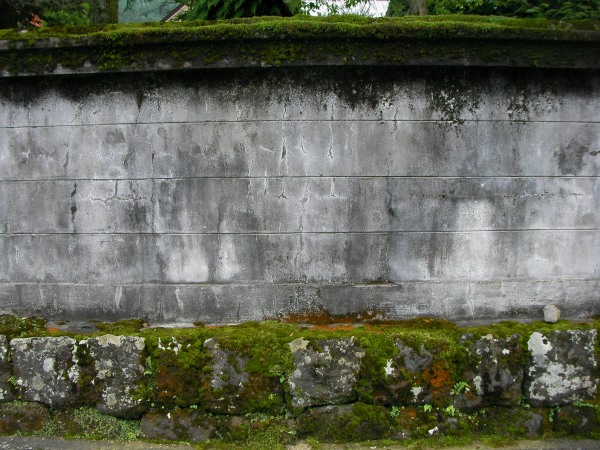 image0041