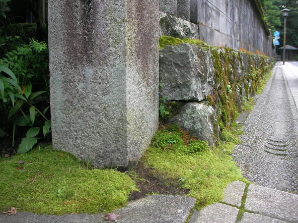 image0043