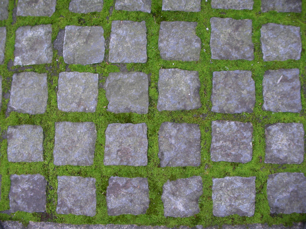 image0044