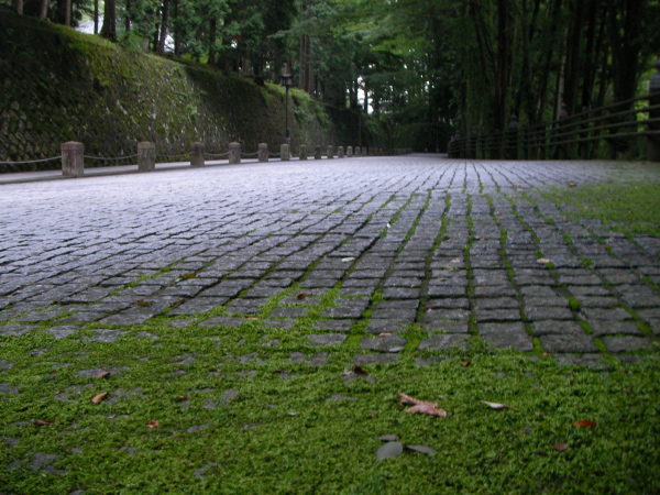 image0047