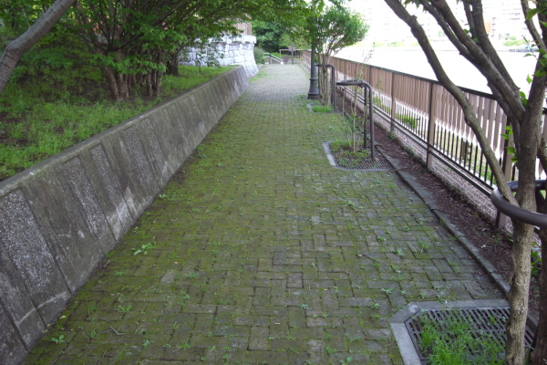 image0093