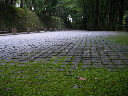 image0047