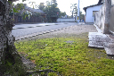 image0054