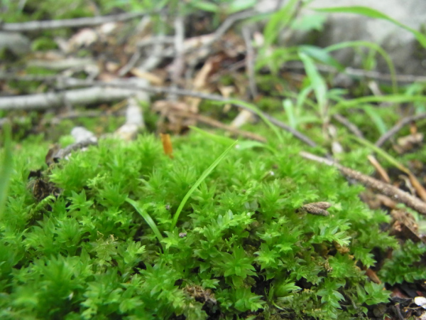 image0047