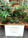 image0014