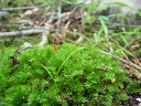 image0047