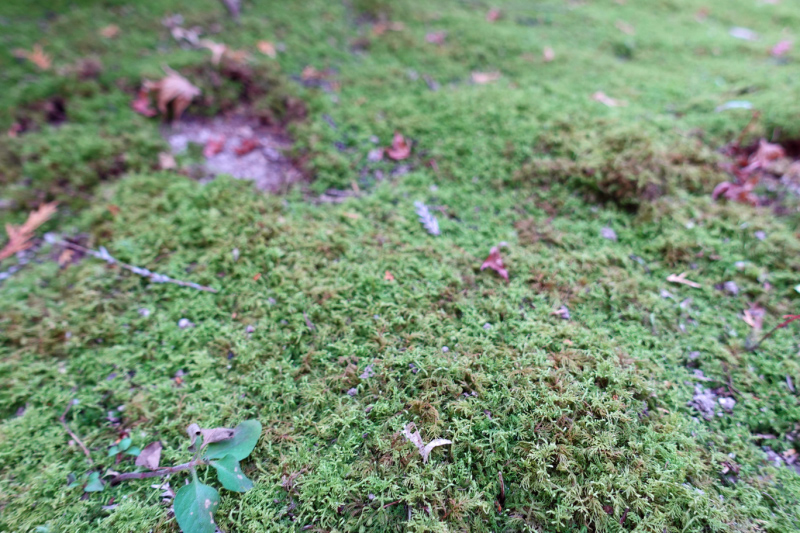 image0008