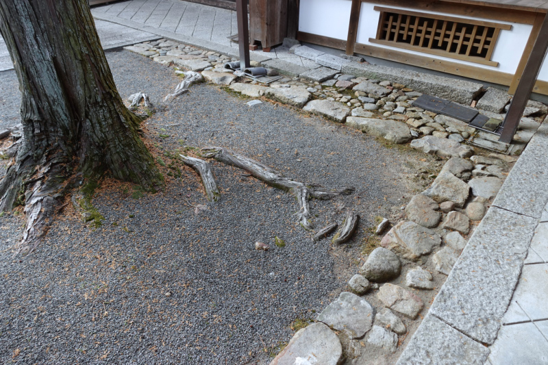 image0031