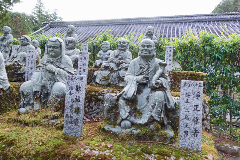 image0051