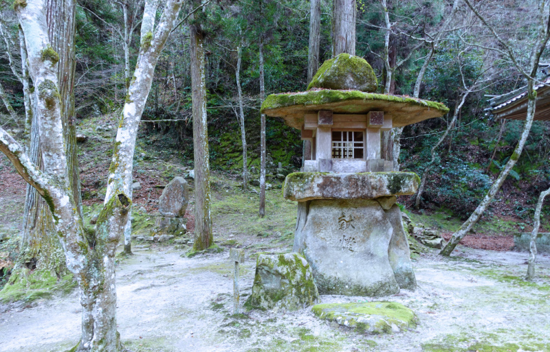 image0061