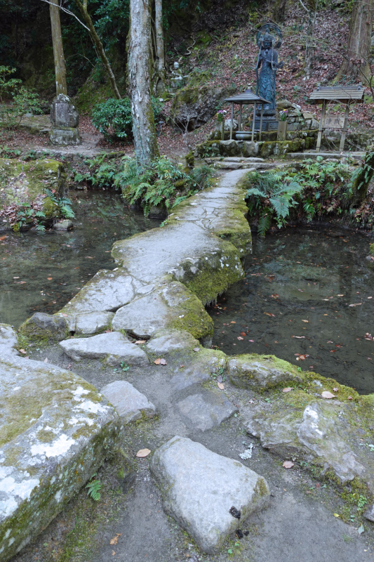 image0064
