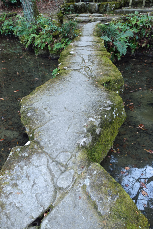 image0065