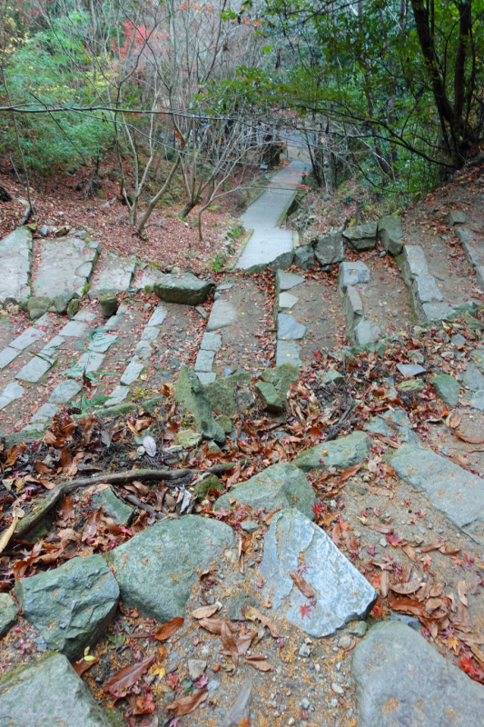 image0069