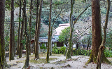 image0003