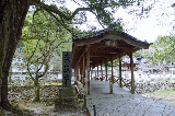 image0009