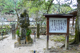 image0010